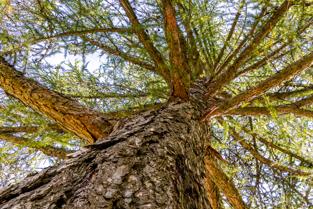 Platz 4 Conny Kleiner